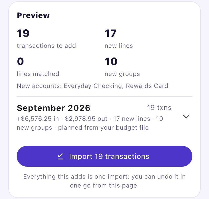 The CSV import preview on iPhone: 19 transactions to add, 17 new lines, 10 new groups, and an Import 19 transactions button that can be undone in one go